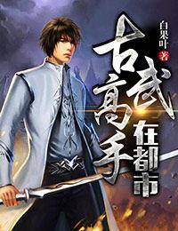 古武高手在都市