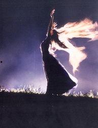 将爱唤回,重拾情感的温暖与真挚